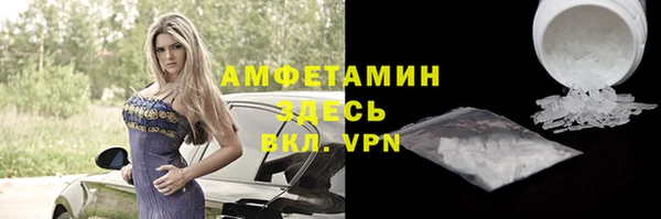 прущие грибы Медногорск