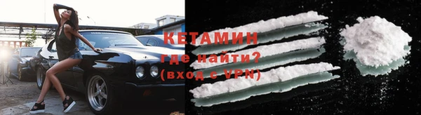 прущие грибы Медногорск