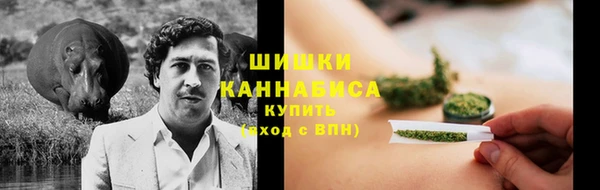 прущие грибы Медногорск
