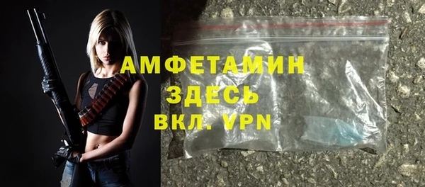 прущие грибы Медногорск