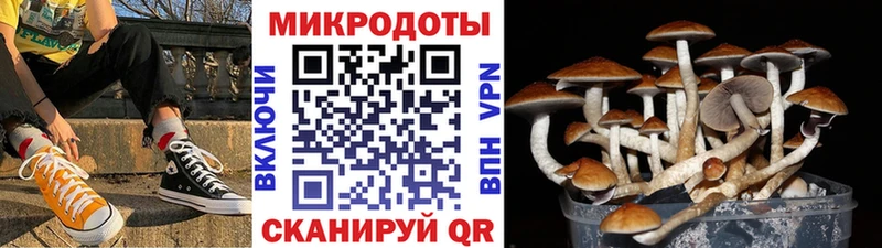 Галлюциногенные грибы GOLDEN TEACHER  сколько стоит  Среднеколымск 