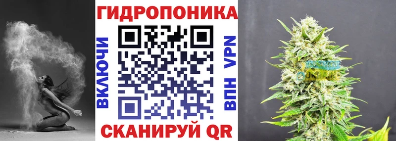 дарнет шоп  Среднеколымск  Бошки Шишки ГИДРОПОН 